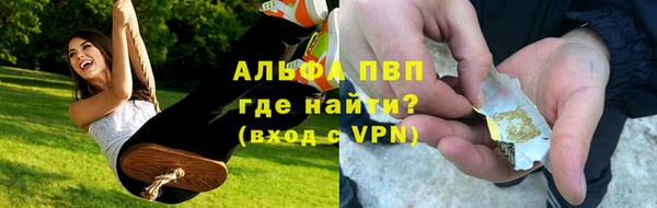 PSILOCYBIN Богородск