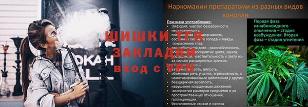 каннабис Белокуриха