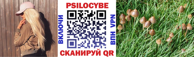 Псилоцибиновые грибы Cubensis  сайты даркнета формула  Бор 